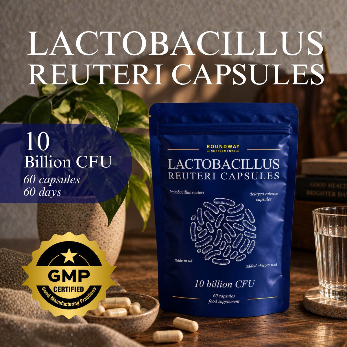 Lactobacillus Reuteri Capsules, Roundway image 5