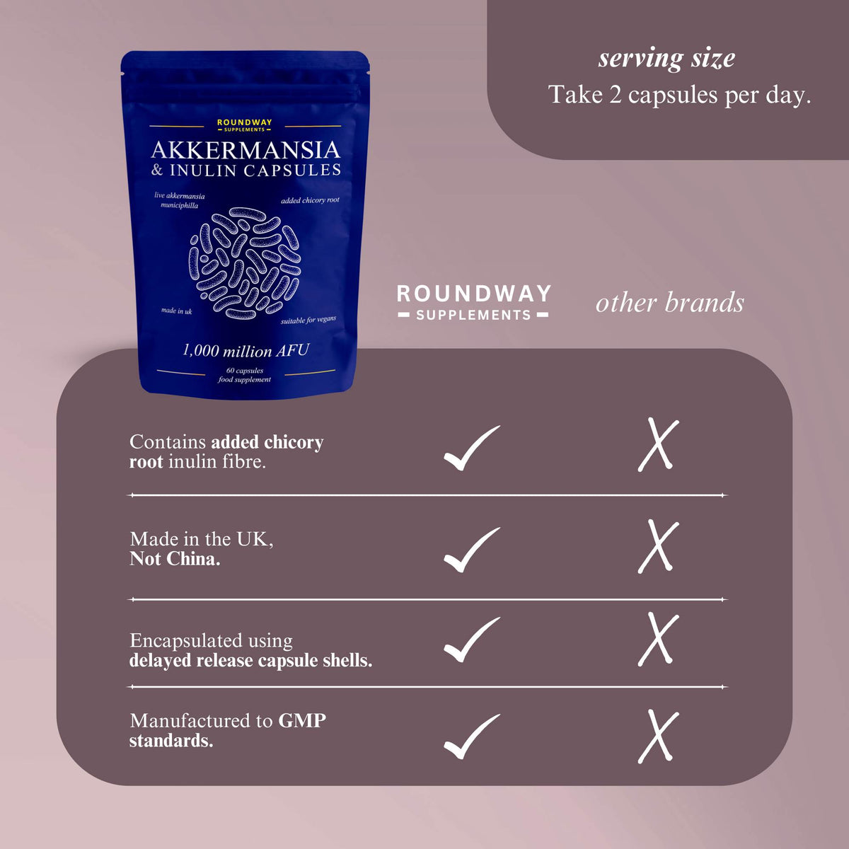 Akkermansia & Inulin Capsules