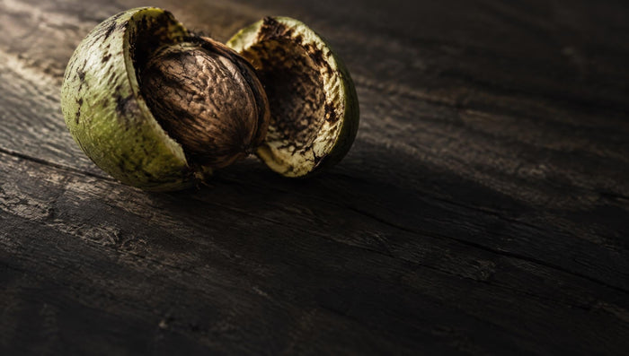 Wormwood, black walnut and clove: a short history