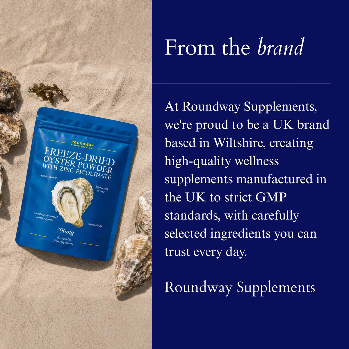 Freeze-Dried Oyster Powder with Zinc Picolinate