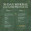 30 Day Herbal Cleanse Protocol with phases and timings on a green background
