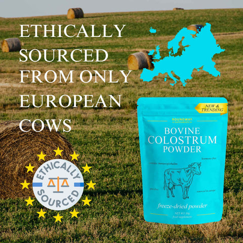 Bovine Colostrum Powder