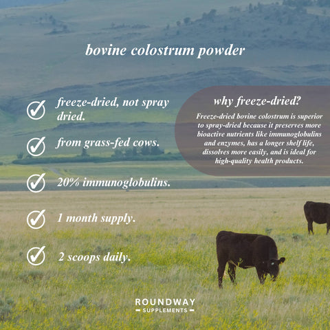 Bovine Colostrum Powder