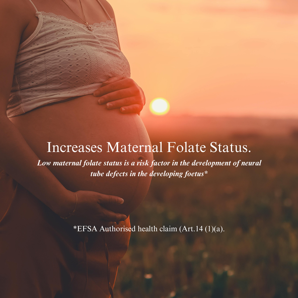 Methylfolate Folic Acid Drops alternate view