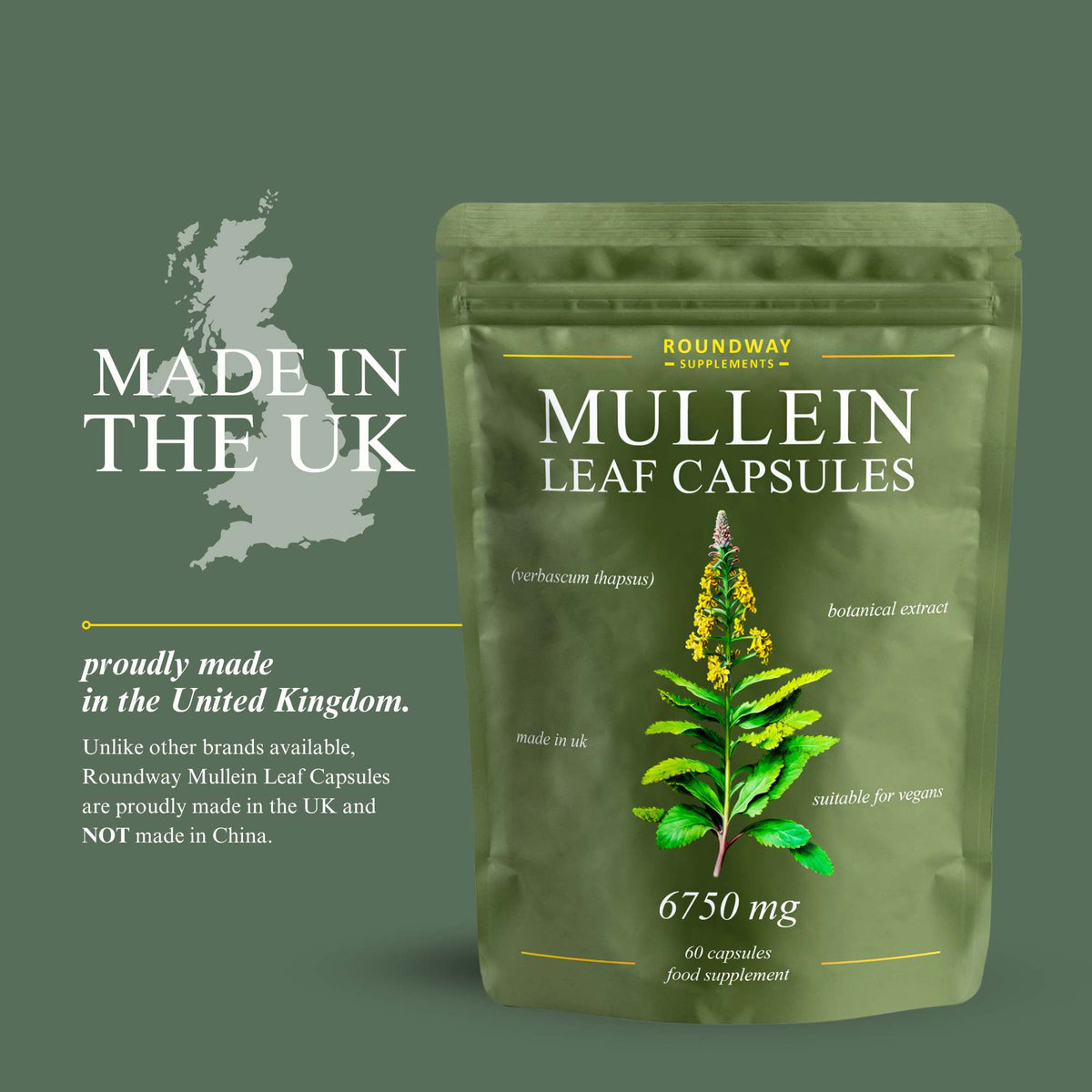 Mullein Leaf Capsules