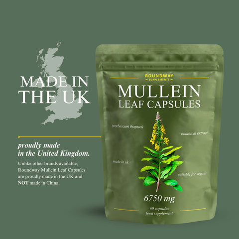 Mullein Leaf Capsules