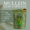 Mullein Leaf Capsules