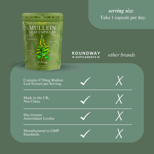 Mullein Leaf Capsules
