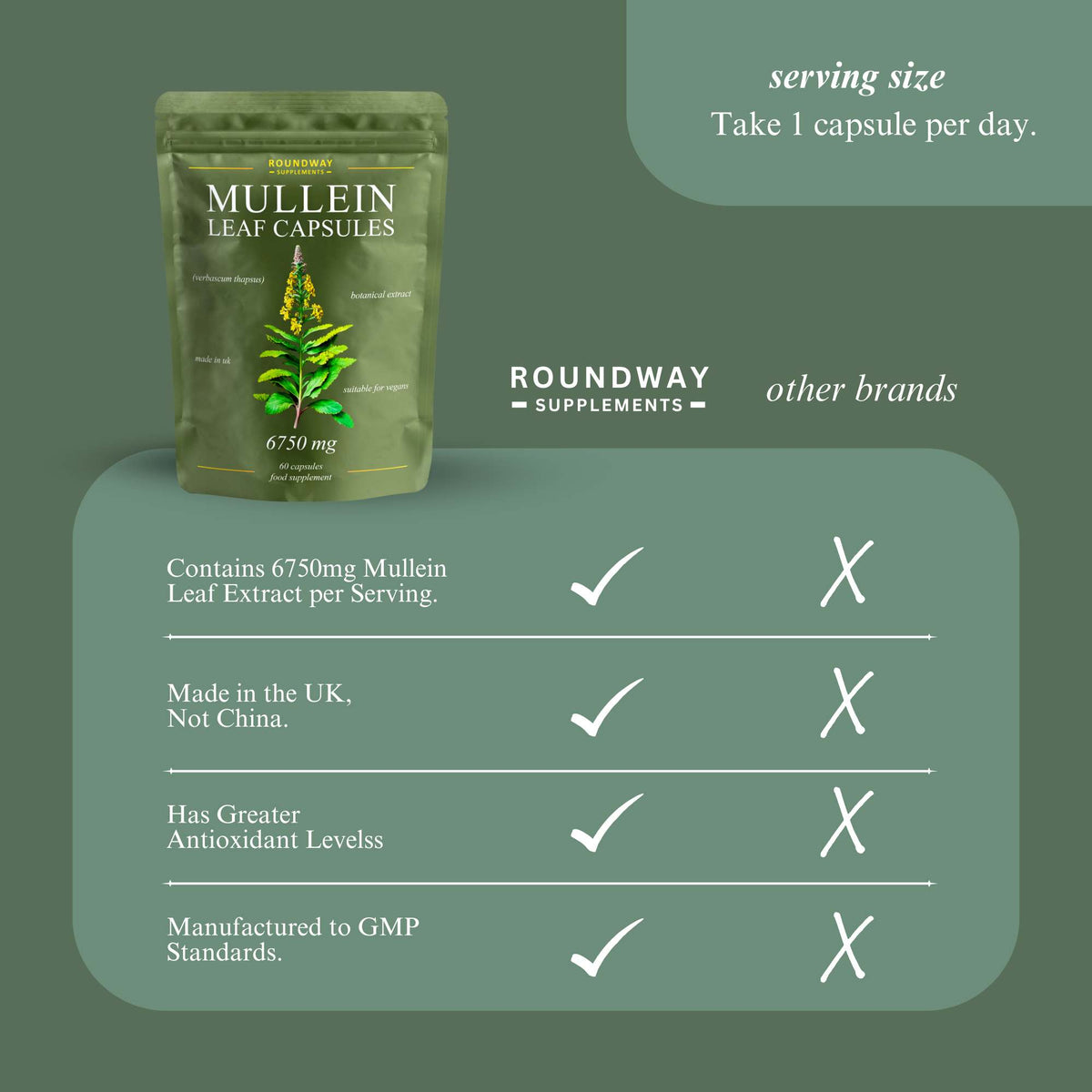 Mullein Leaf Capsules