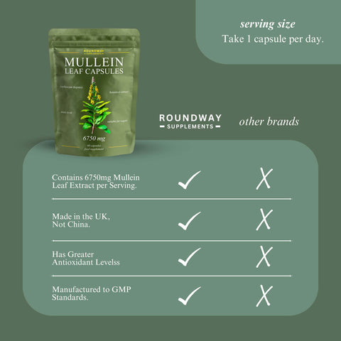 Mullein Leaf Capsules