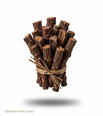 Dandelion Root Extract 4:1