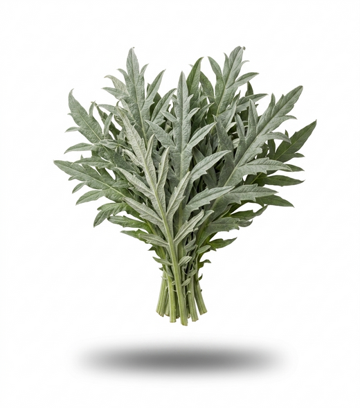 Artichoke Leaf Extract 4:1