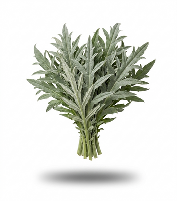 Artichoke Leaf Extract 4:1