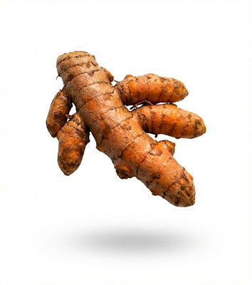 Turmeric Root Extract