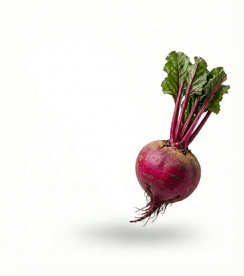 Beetroot Extract