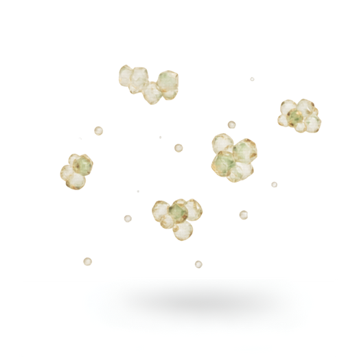 Plant Sterols ((Pygeum Africanum