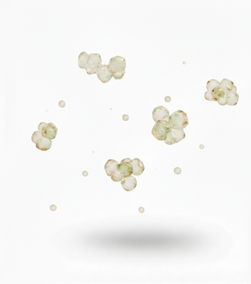 Plant Sterols ((Pygeum Africanum