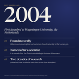 Meet Akkermansia: first described in 2004 at Wageningen University, found naturally in the human gut and named after microbiologist Antoon Akkermans, image 5