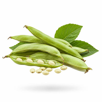 Guar fibre