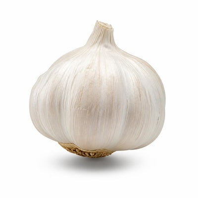 Aged Black Garlic Extract