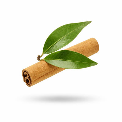 Cinnamomum Verum Bark