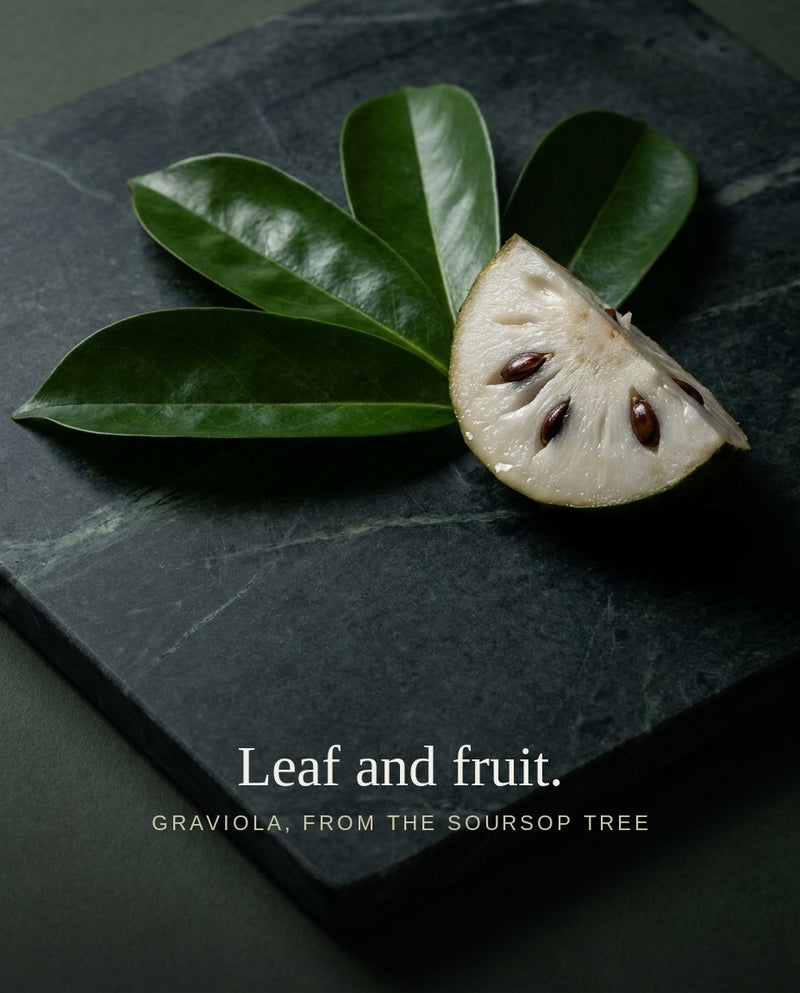 High-Potency Botanical, Naturally Delivered